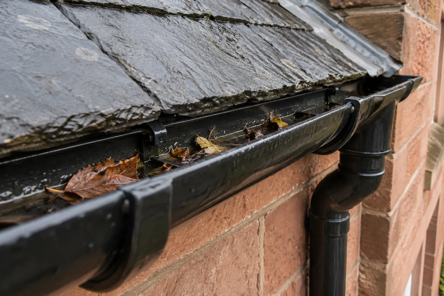 Illustrative rain gutter with natural leaf build-up beside sandstone