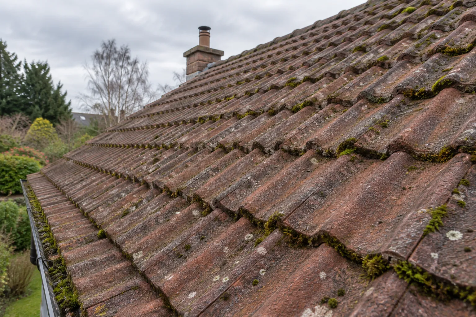 Illustrative weathered tiled roof with natural moss along the tile edges